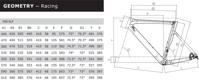 bianchi aria size chart