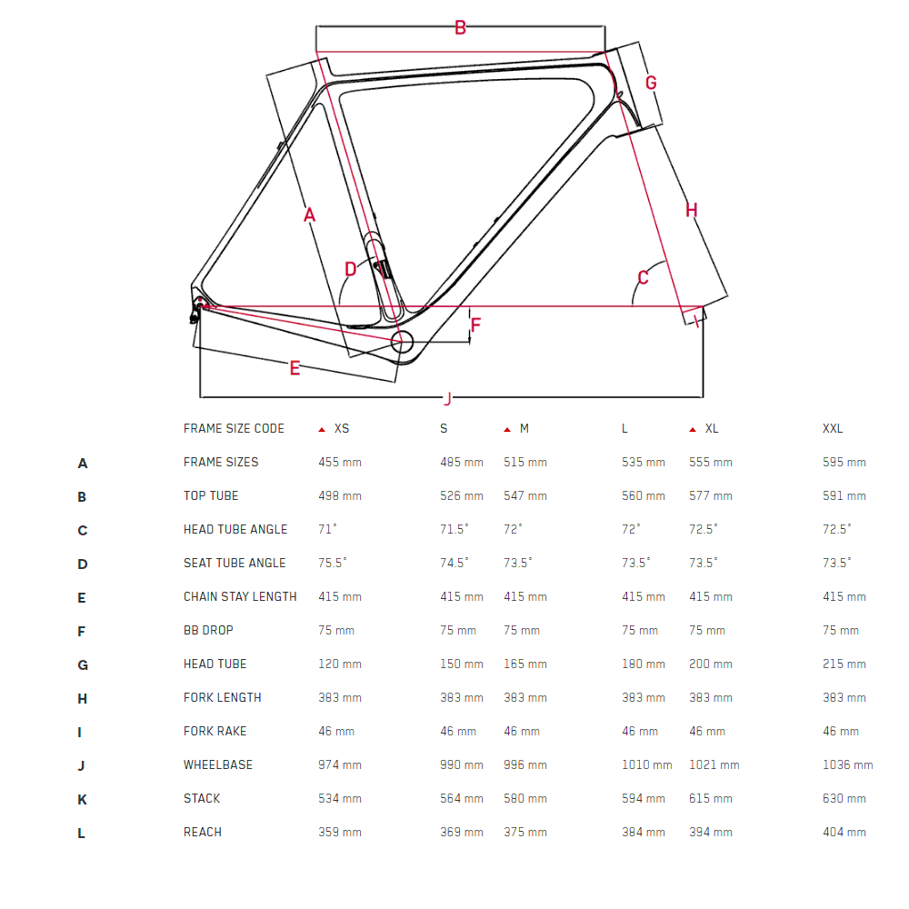 focus paralane sizing