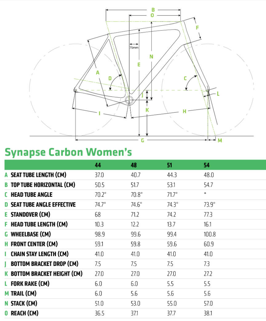 cannondale synapse carbon tiagra 2020