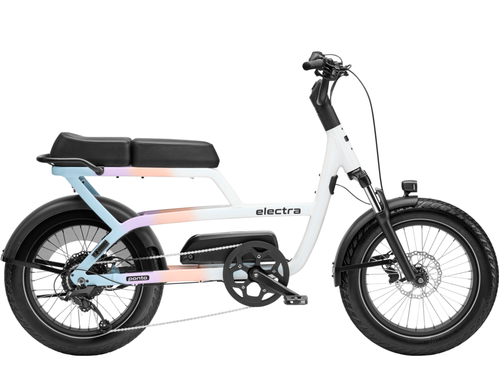 Go ebike online