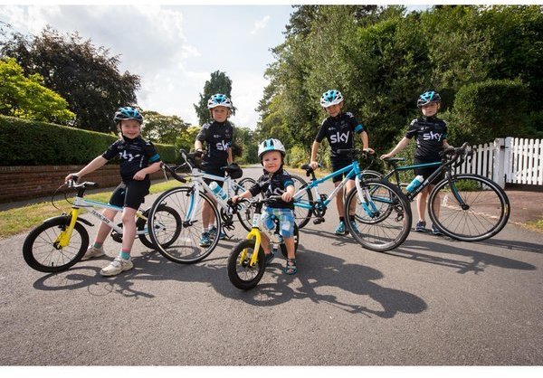 Frog bike 48 team sky on sale