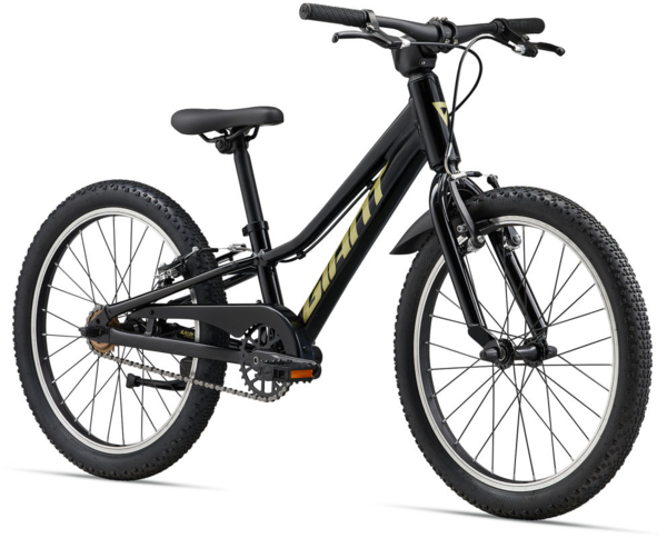 Giant 20 inch mountain bike hot sale