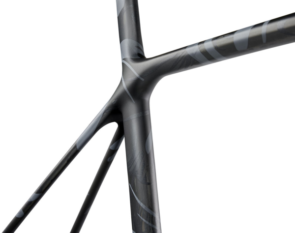 Giant carbon frameset sale