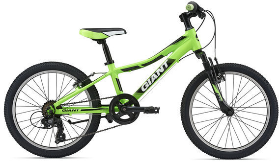 green and black giant mountain bike