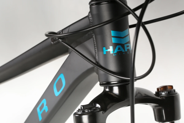 Haro flightline one 29 online