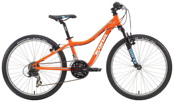 Kona 24 hotsell mountain bike