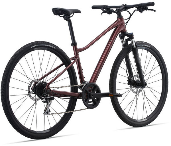 Liv Rove 3 DD Southbridge Bicycles Southbridge MA