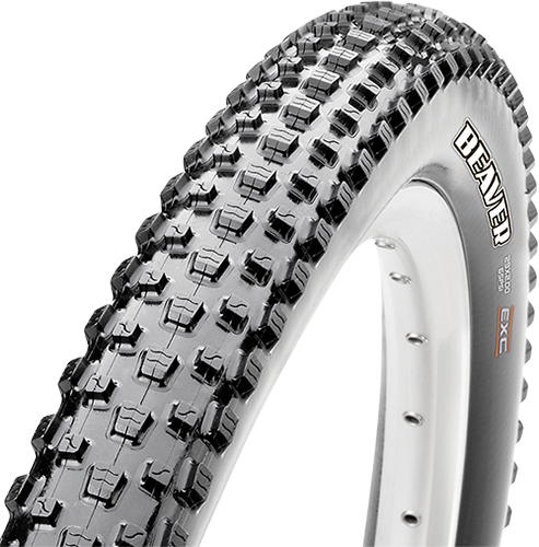 maxxis beaver 29 x 2.0