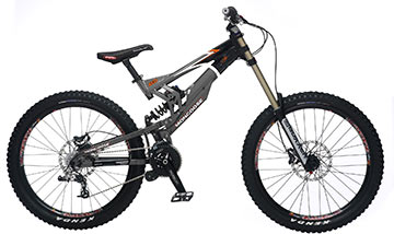 2008 mongoose mountain bike