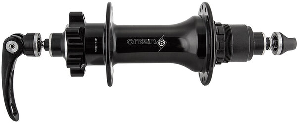 Fat bike rear store hub