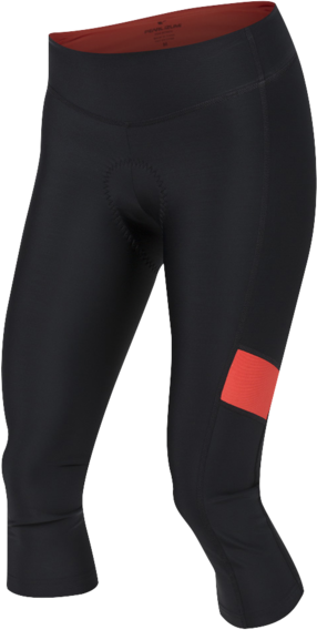  PEARL IZUMI W Elite Escape Amfib Cycling Tights, Black, Large  : Clothing, Shoes & Jewelry