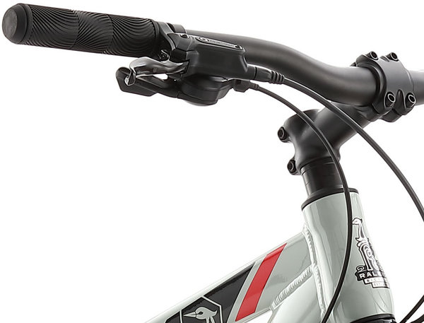 Raleigh talus 3 store review