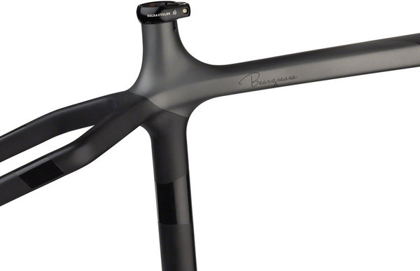 salsa beargrease frame