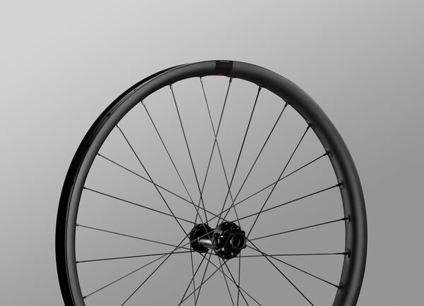 Santa Cruz Reserve HD 30 V2 29 inch Wheelset Another Bike Shop