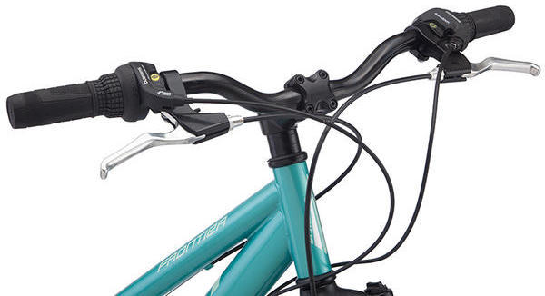 schwinn frontier women's bike price