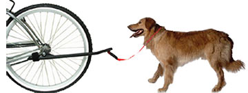 Sunlite Dog Leash - Pedal Bike Shop 