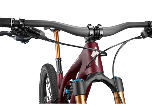 2021 stumpjumper evo online pro 29