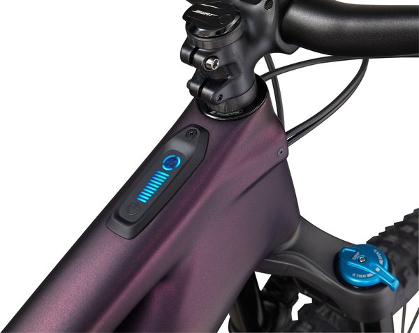 specialized levo purple