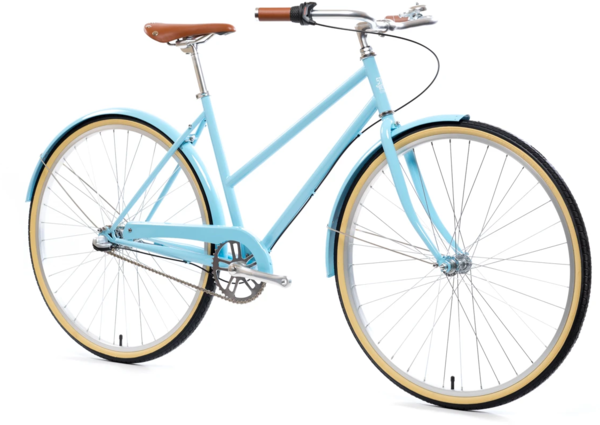 Buy Best Three Speed Bicycle For Women Online – Steedcycles