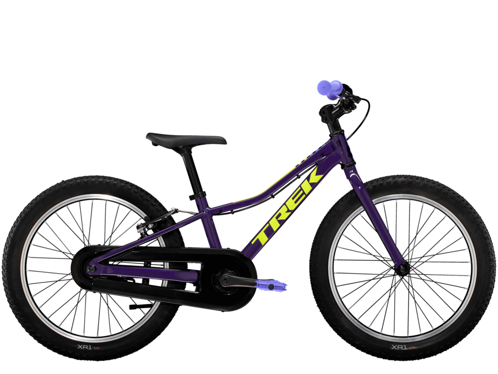 20 inch bike with coaster brakes online