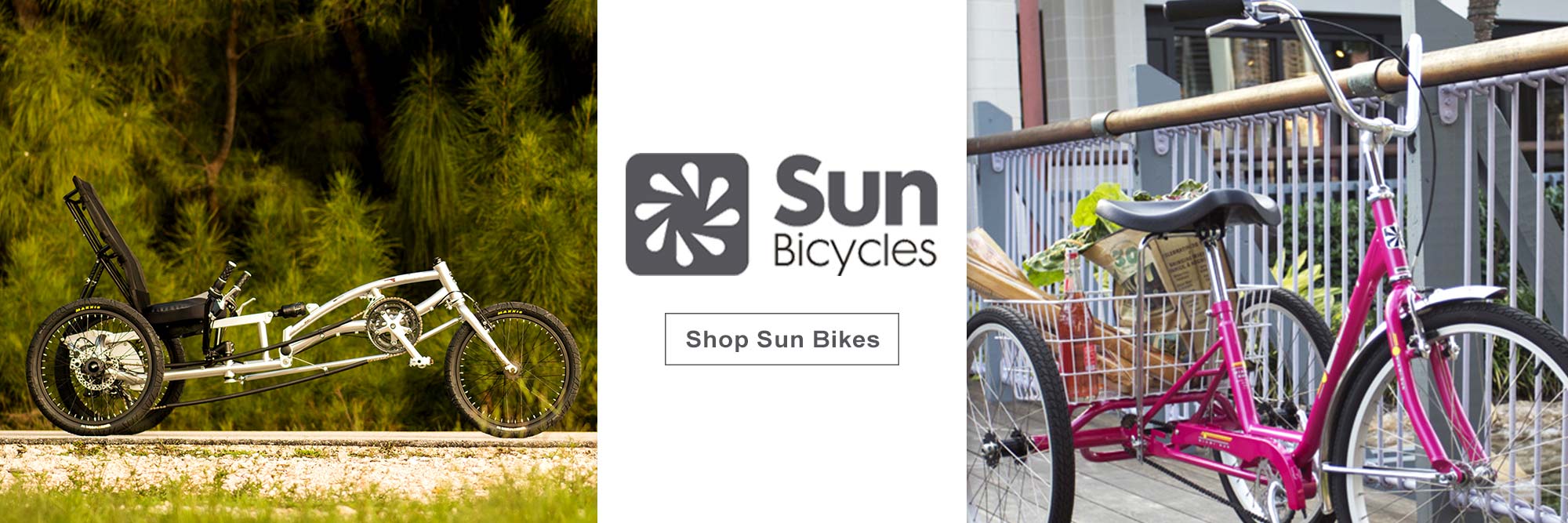 sun bicycles near me