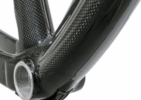 storing carbon fiber bike