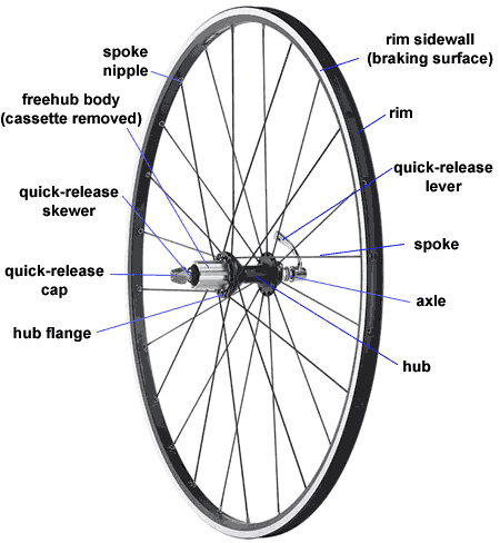 cycle wheel hub