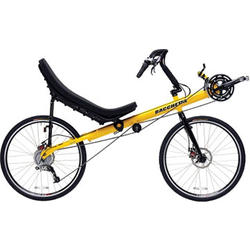 online recumbent bike store