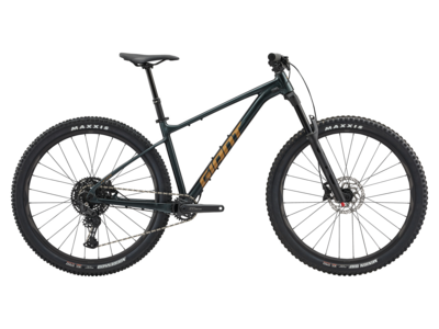 Giant mountain bike model list sale