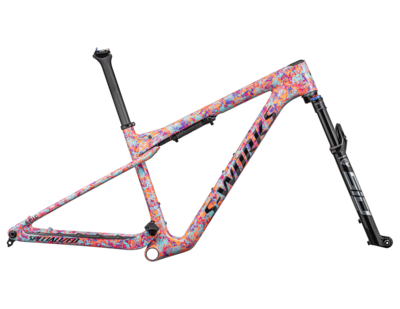 Specialized frame for sale online