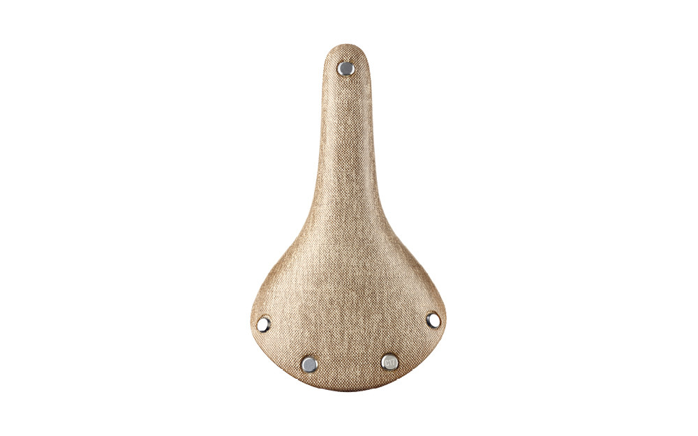 brooks cambium c17s