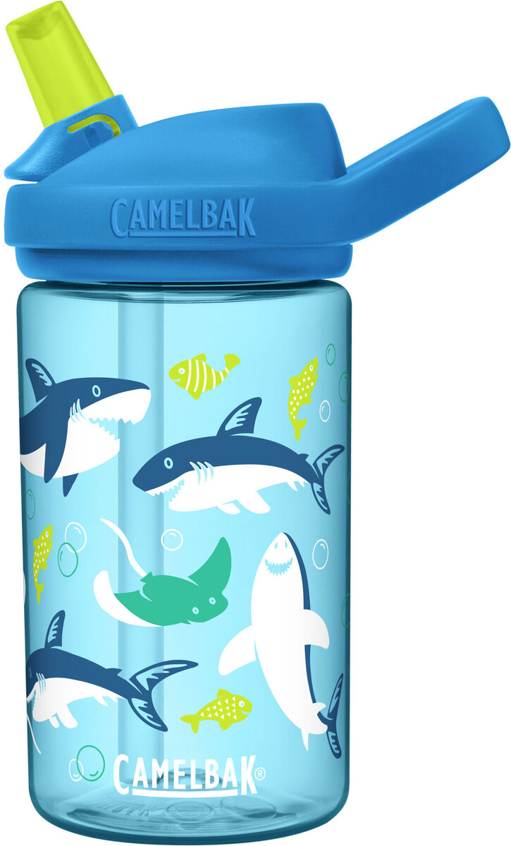 CamelBak Eddy+ Kids 14oz Bottle with Tritan Renew, Spring Fairies