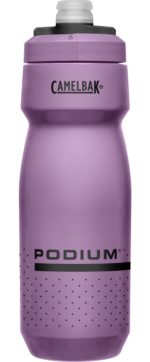 CamelBak Podium Chill 21oz Bottle Purple