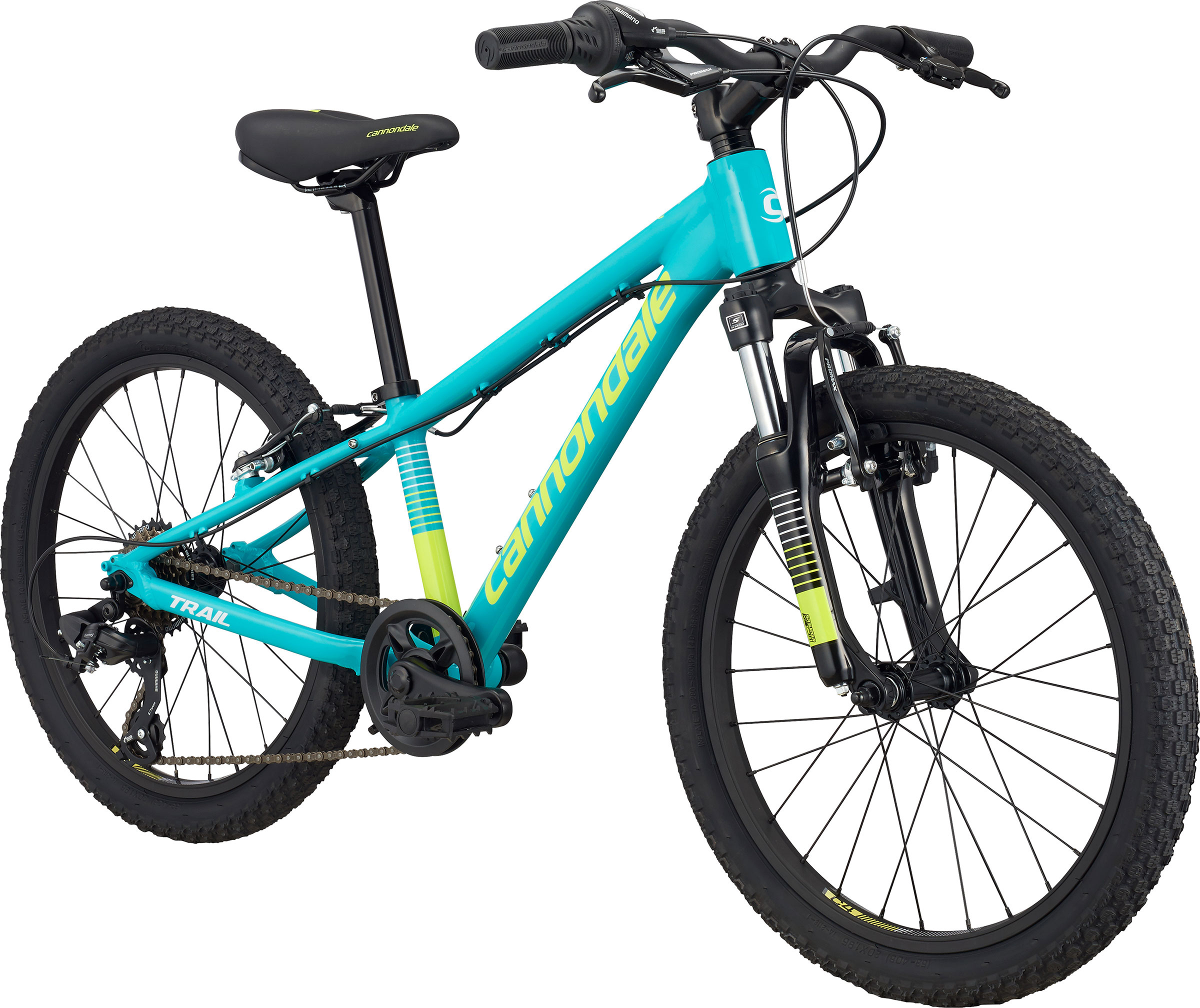 cannondale girl bike 20