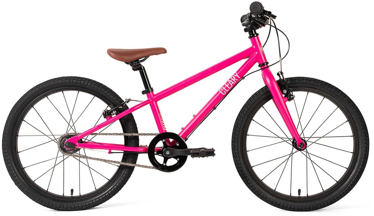 Cleary Owl 20 inch 3 Speed The Jay Cloud Cyclery