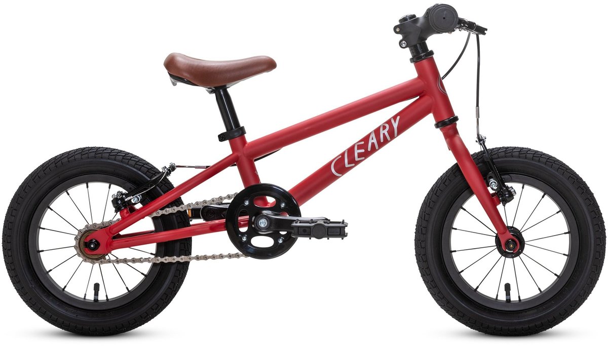 cleary gecko bike