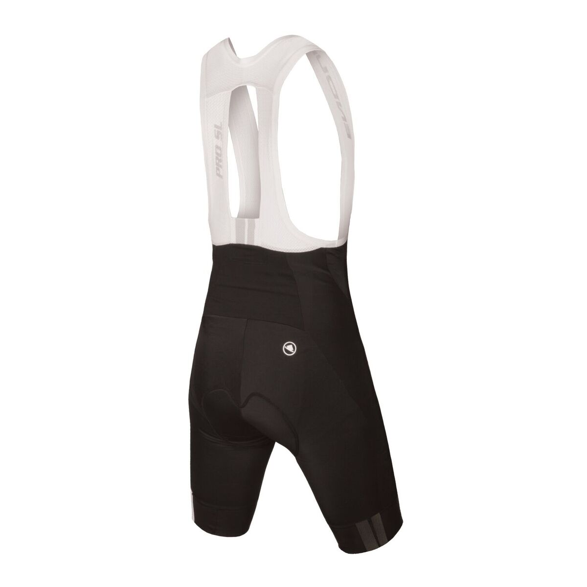 Endura fs260 pro sl ii bib shorts online