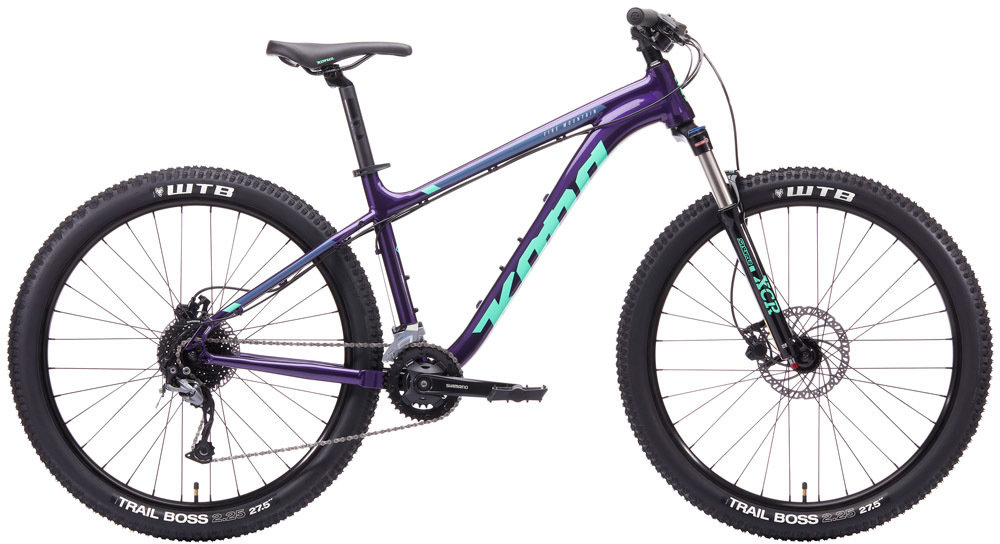 kona fire mountain bike