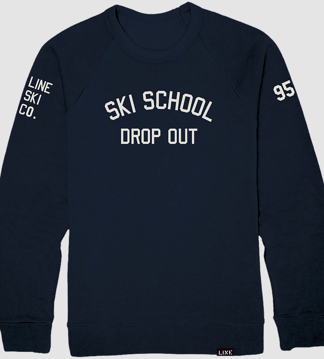 Ski school dropout hot sale sweater aerie