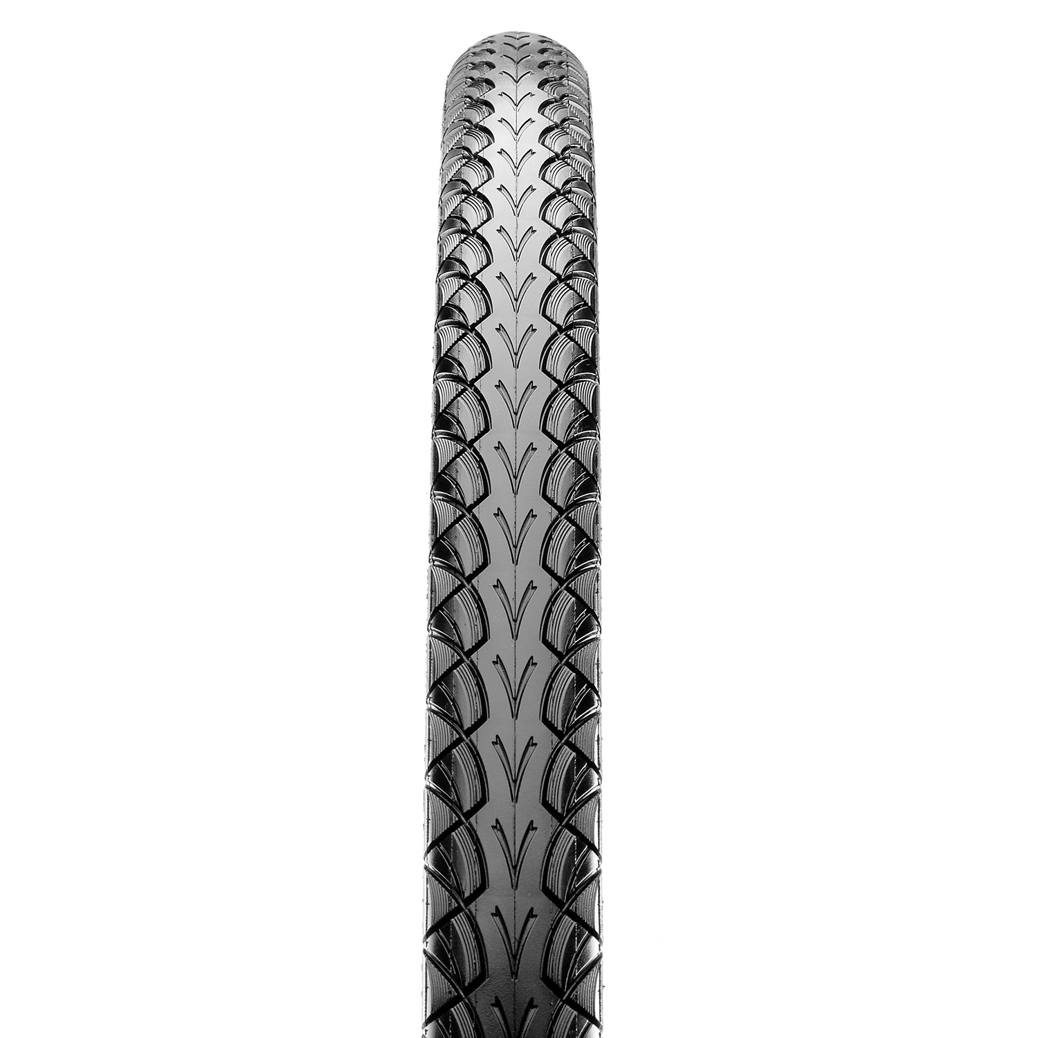 maxxis gypsy 26