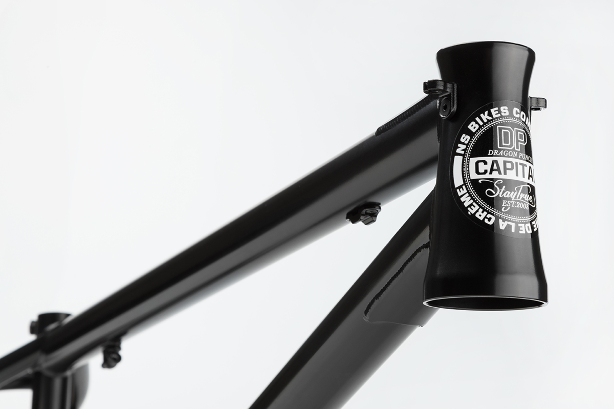 Ns bikes online frame