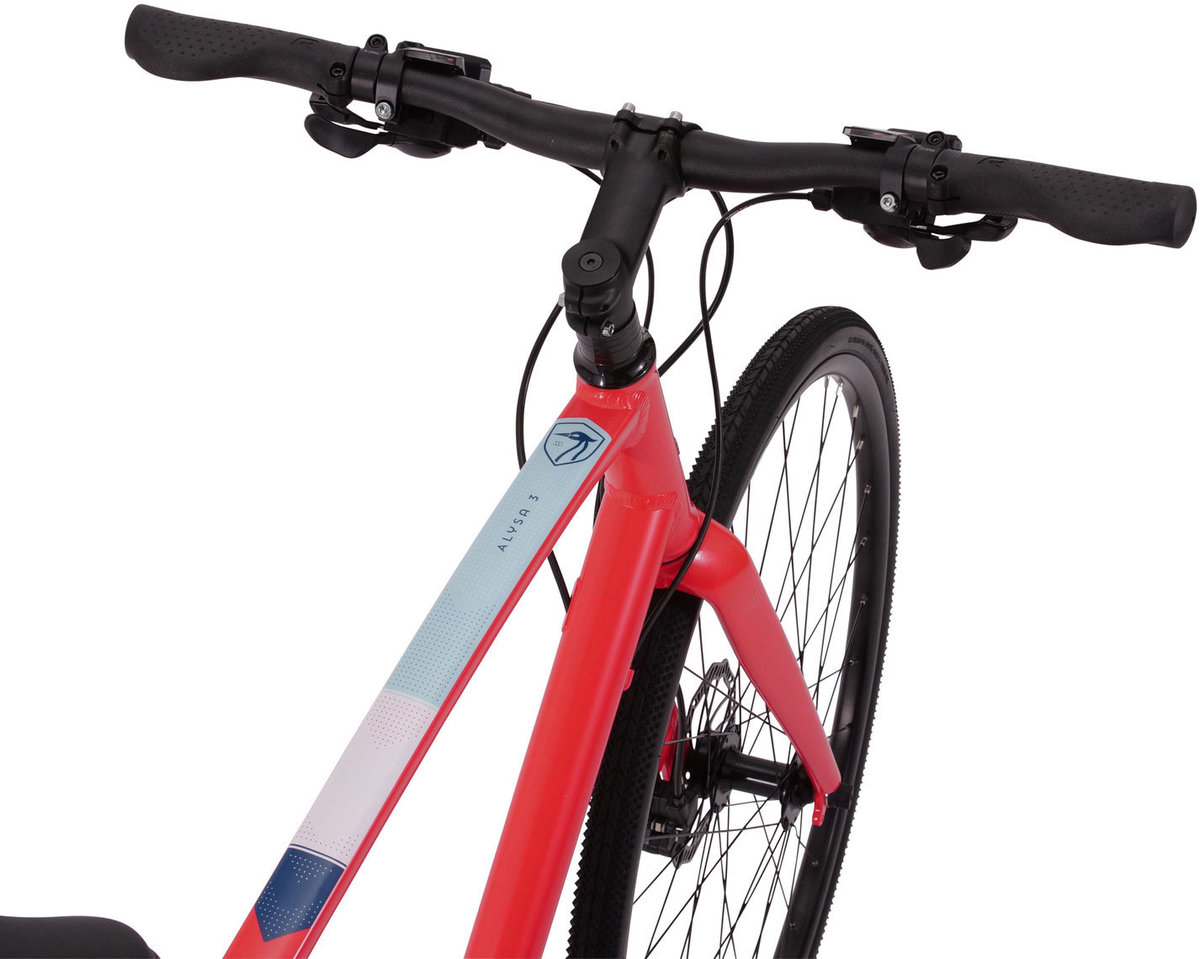 Raleigh bikes alysa 3 hot sale women's urban fitness bike