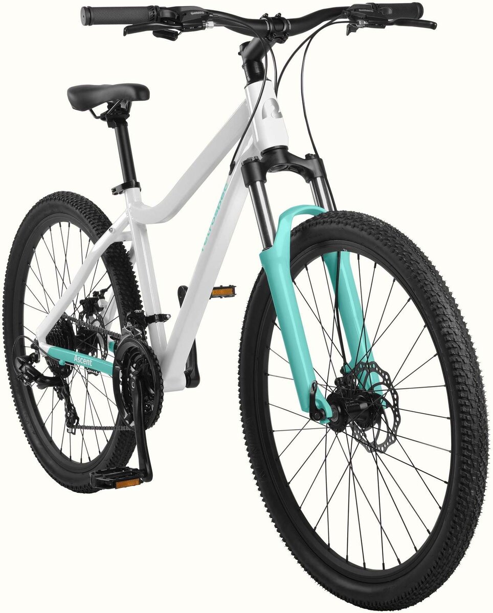 Ascent discount terrain bike