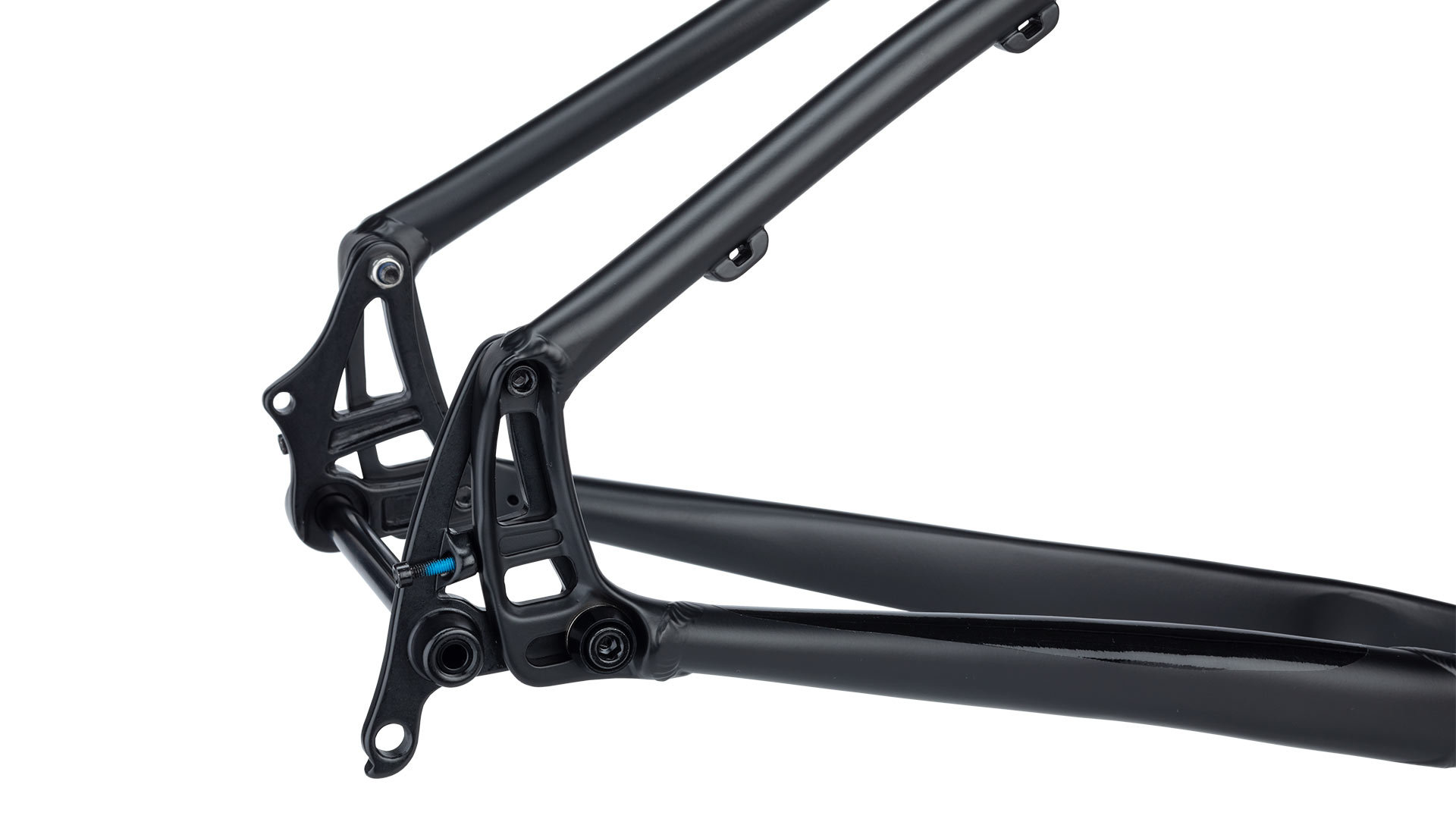 salsa frame