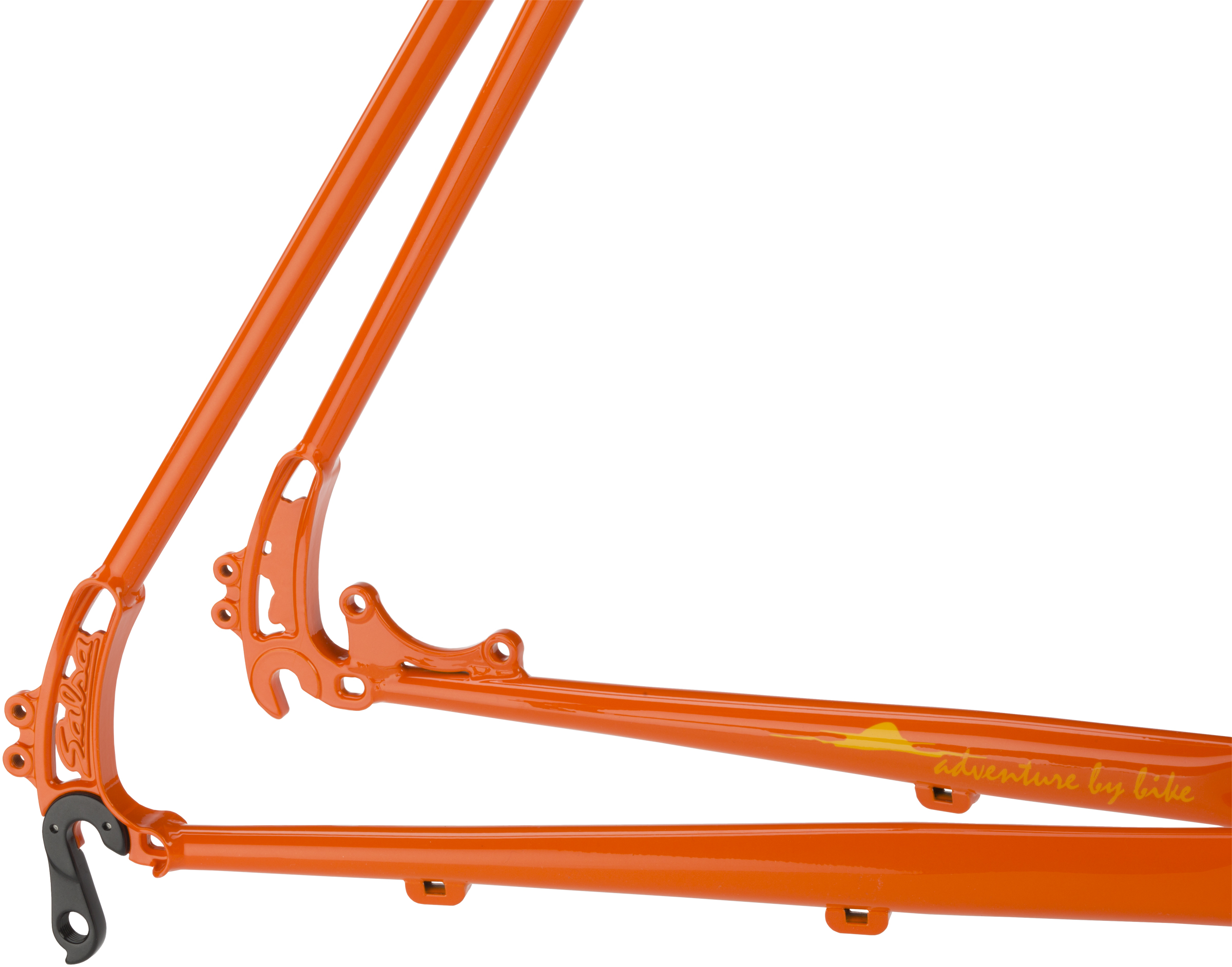 salsa vaya frame