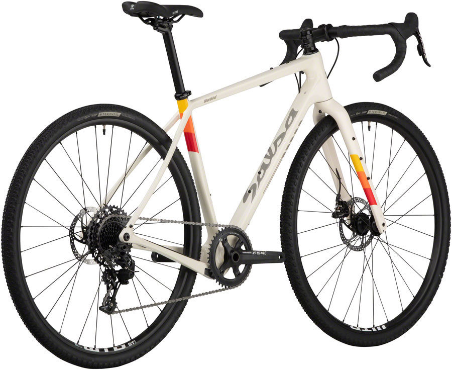 Salsa warbird on sale apex 1