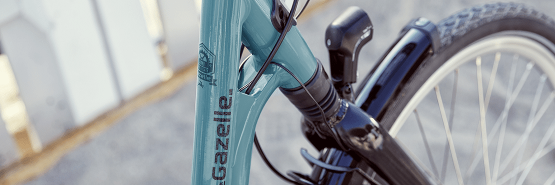 gazelle bike accessories