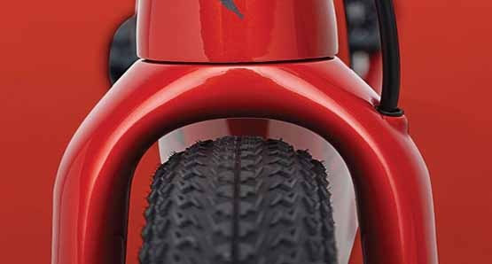 specialized rhombus tire