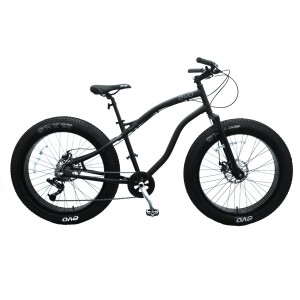 evo fat bike