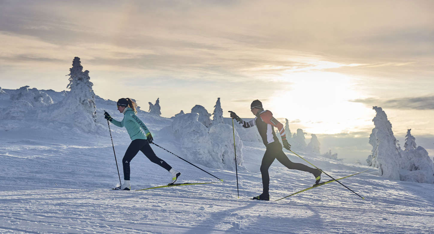 Cross Country Skiing Competition Level